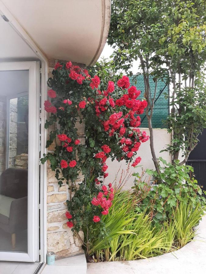 Appartement Climatise Au Calme En Provence Pierrefeu-du-Var Exteriör bild